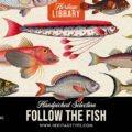 follow-the-fish.jpg