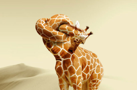 giraffe_neck_knot.jpg