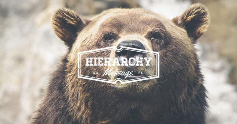 hierarchy2014-top.jpg