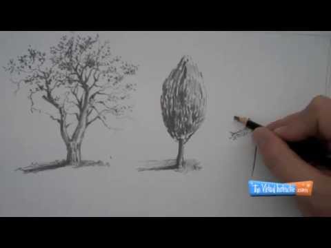 【YouTube】How to Draw Trees