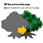 Photoshopで15分で樹木を塗る方法・フリ...サムネイル