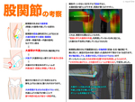 股関節の考察図とリグ制御【3D・Blender】サムネイル