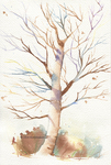 『葉っぱのない木』＋透明水彩講座サムネイル